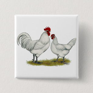 Badge Carré 5 Cm Poulets de pieds bleus