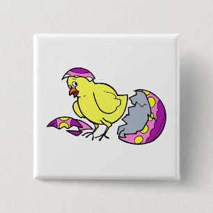 Badge Carré 5 Cm poussin hachant l'oeuf jaune pourpre