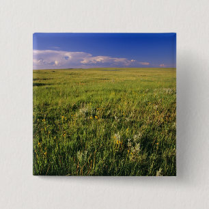 Badge Carré 5 Cm Prairie à herbe courte dans le nord-est éloigné