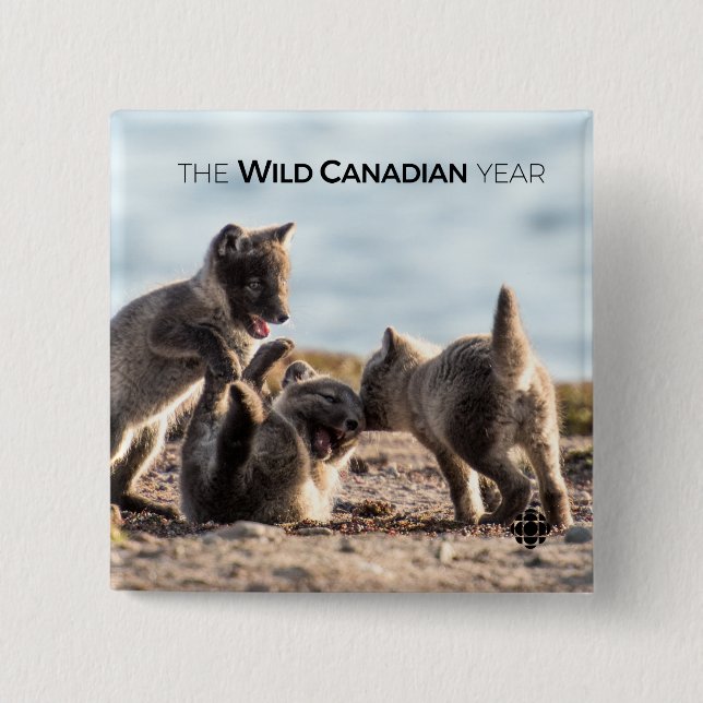 Badge Carré 5 Cm Printemps - Renard arctique (Devant)