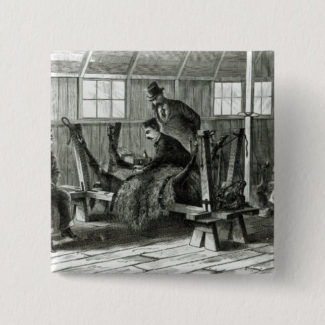 Badge Carré 5 Cm Prise du virus du veau (Devant)