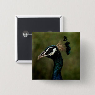 Badge Carré 5 Cm Profil de Peacock