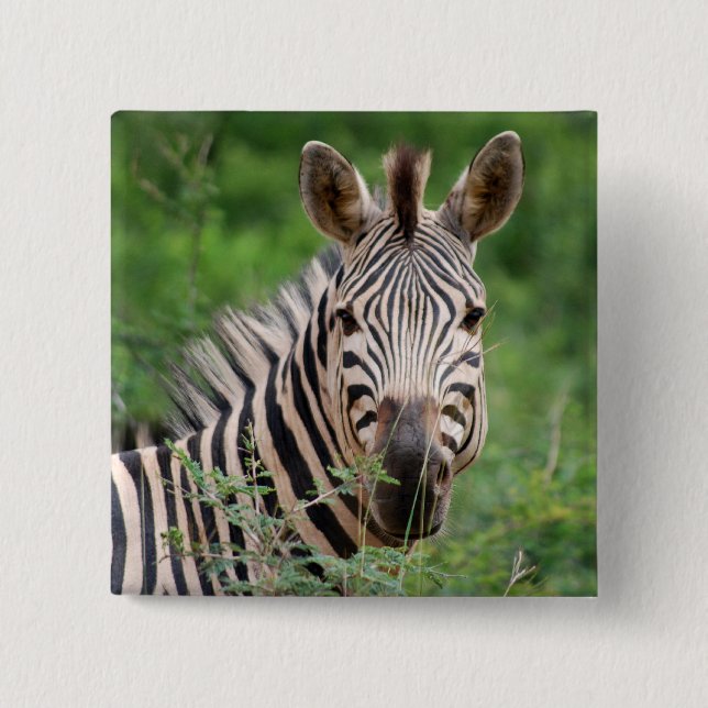 Badge Carré 5 Cm Profil Zebra (Devant)