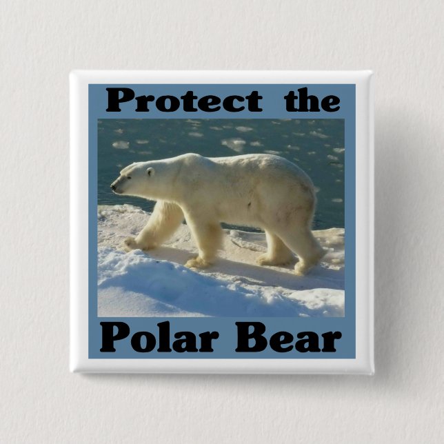 Badge Carré 5 Cm Protéger l'ours polaire (Devant)