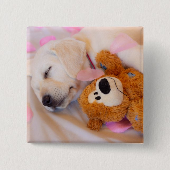 Badge Carré 5 Cm Puppy cuddles 02 (Devant)