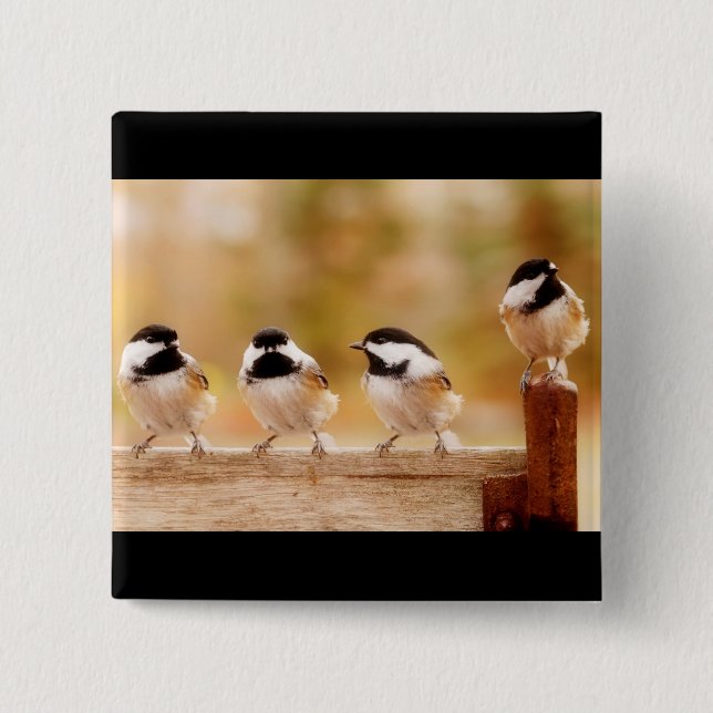 Badge Carré 5 Cm Quatre petits chickadees (Devant)