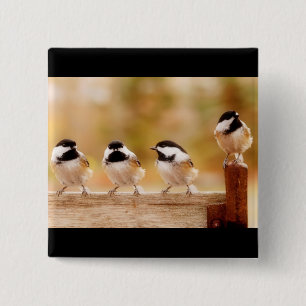 Badge Carré 5 Cm Quatre petits chickadees