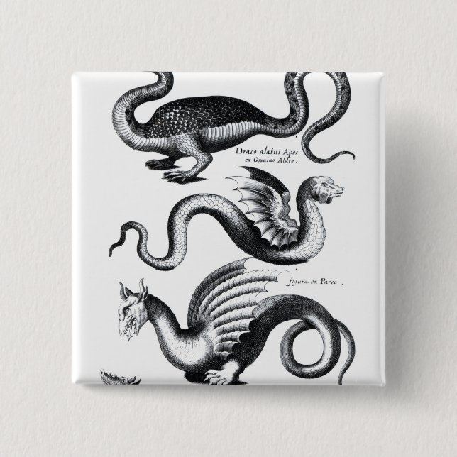 Badge Carré 5 Cm Quatre types de dragon (Devant)
