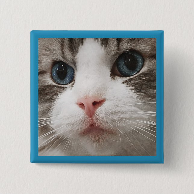 Badge Carré 5 Cm Ragdoll Kitty (Devant)