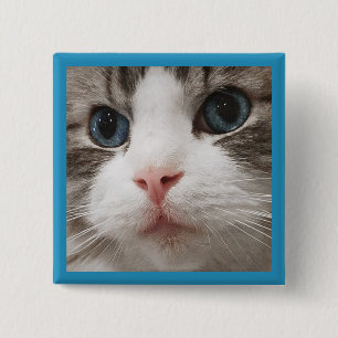 Badge Carré 5 Cm Ragdoll Kitty