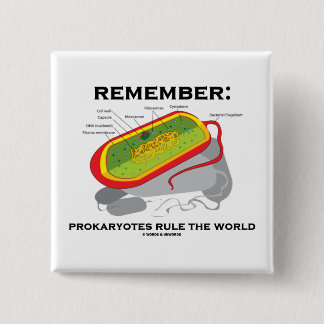 Badge Carré 5 Cm Rappelez-vous : Les Prokaryotes ordonnent le monde