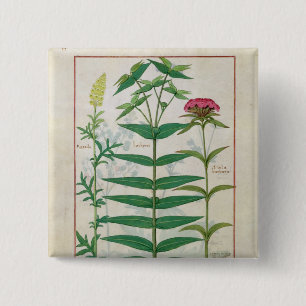 Badge Carré 5 Cm Reseda, euphorbe et oeillet