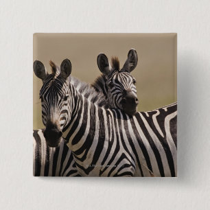 Badge Carré 5 Cm Réserve nationale du Masai Mara, Kenya, juillet 20