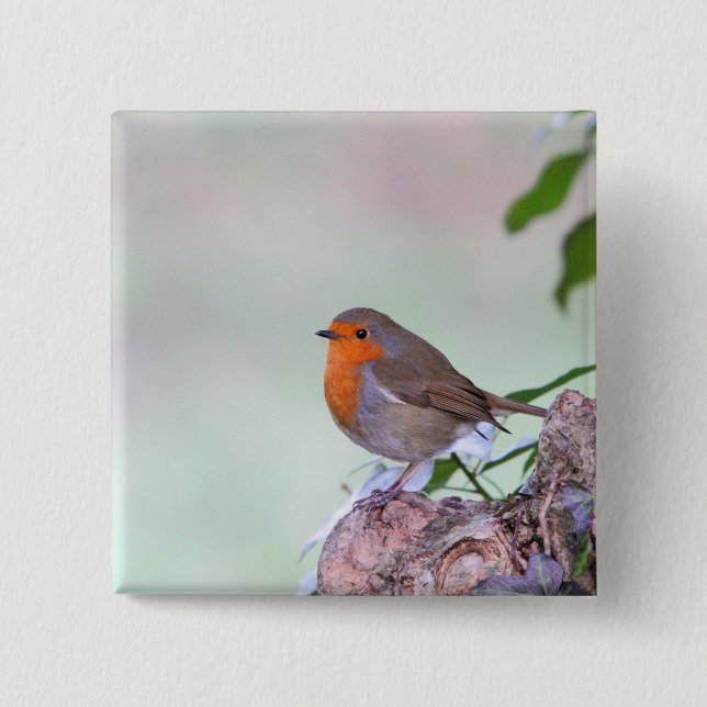Badge Carré 5 Cm Robin (Devant)