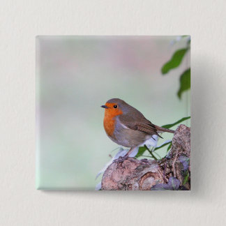 Badge Carré 5 Cm Robin