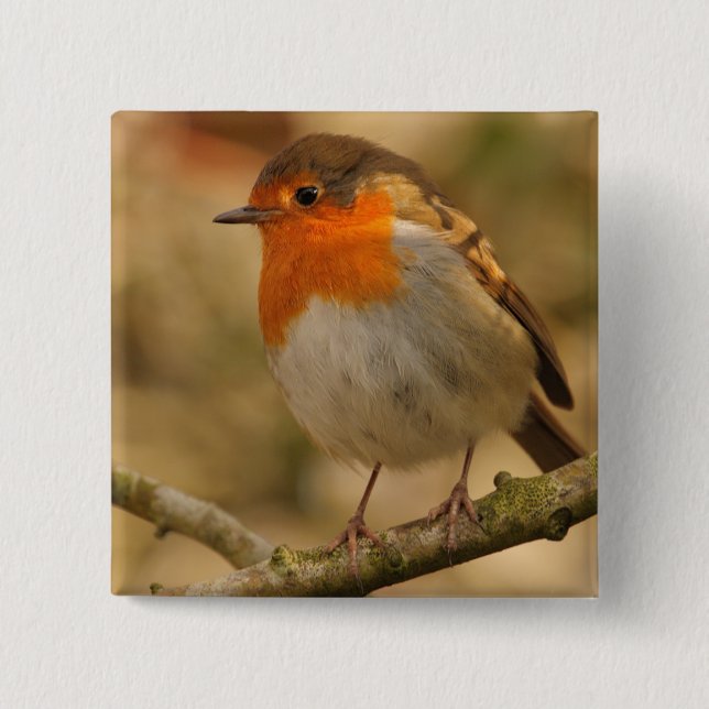 Badge Carré 5 Cm Robin en soleil (Devant)