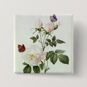 Badge Carré 5 Cm Rosa : Bengale le Hymenes, des 'roses de Les