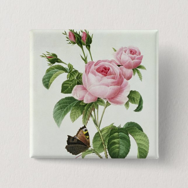 Badge Carré 5 Cm Rosa Centifolia (Devant)