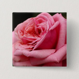 Badge Carré 5 Cm Rose rose I Photographie florale jolie
