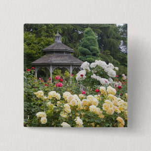 Badge Carré 5 Cm Roses en fleurs et roseraie du belvédère à