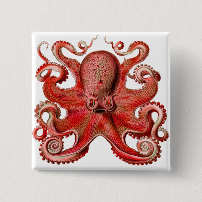 Badge Carré 5 Cm Rouge octopique de Haeckel (Devant)