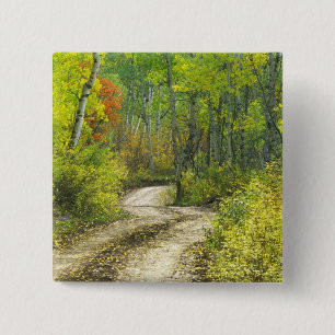 Badge Carré 5 Cm Route avec couleurs d'automne et trembles à Kebler