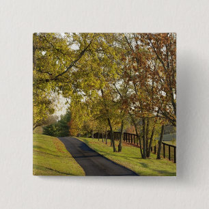 Badge Carré 5 Cm Route rurale à travers la région de Bluegrass au