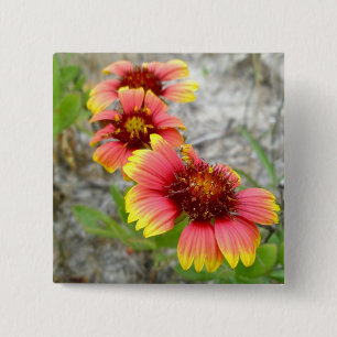 Badge Carré 5 Cm Sac fourre-tout Fleur sauvage Gaillardia (Fleur Bl