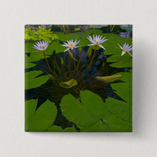 Badge Carré 5 Cm San Francisco California Golden Gate Park et