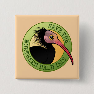 Badge Carré 5 Cm Sauvez IBIS chauve du nord