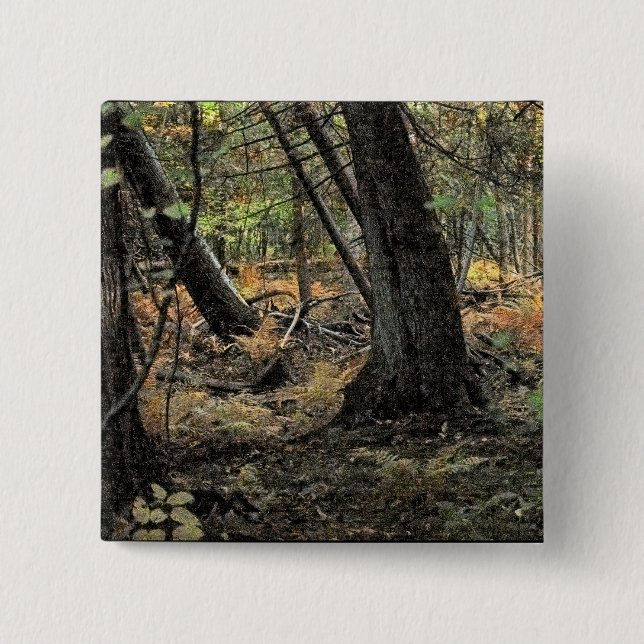 Badge Carré 5 Cm Scène de forêt automnale        (Devant)