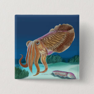 Badge Carré 5 Cm Scène de MassachusettsCuttlefish
