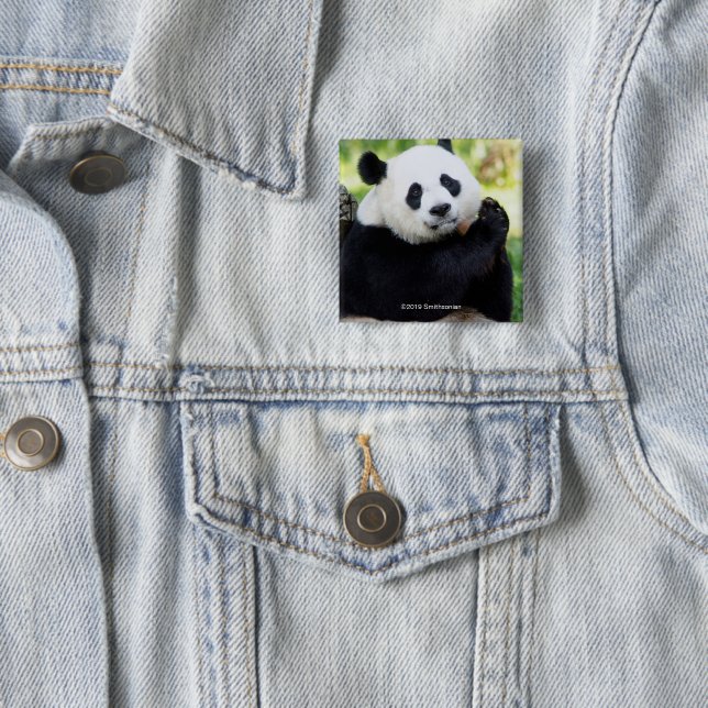 Badge Carré 5 Cm Séance de panda géant (En situation)