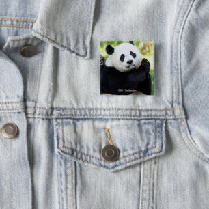 Badge Carré 5 Cm Séance de panda géant