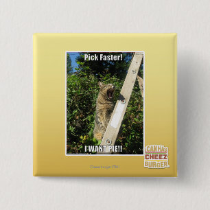 Badge Carré 5 Cm Sélection plus rapidement !