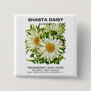 Badge Carré 5 Cm Shasta Daisy Vintage semis