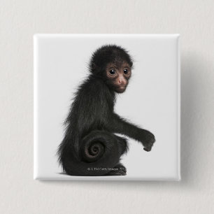 Badge Carré 5 Cm Singe d'araignée rougeaud - paniscus d'Ateles (3