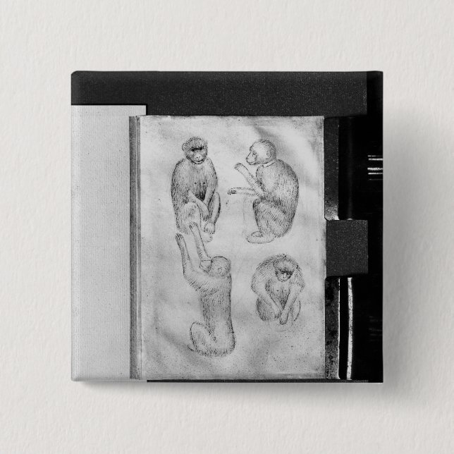 Badge Carré 5 Cm Singes, de l'album de Vallardi (Devant)