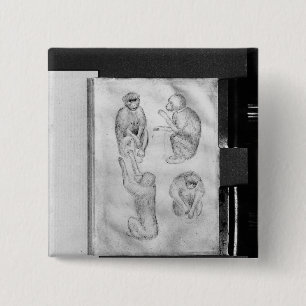 Badge Carré 5 Cm Singes, de l'album de Vallardi