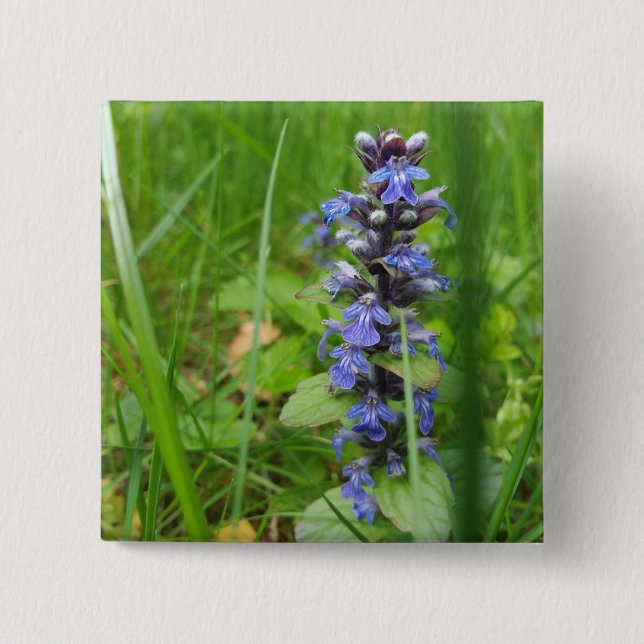 Badge Carré 5 Cm Skullcap Violet Fleur sauvage (Devant)