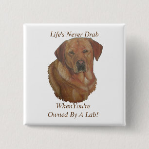 Badge Carré 5 Cm slogan amusant pour le portrait de chien du labrad