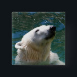 Badge Carré 5 Cm Sourire des ours polaires<br><div class="desc">La beauté de l'ours blanc immaculé à la douceur polaire.</div>