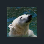 Badge Carré 5 Cm Sourire des ours polaires<br><div class="desc">La beauté de l'ours blanc immaculé à la douceur polaire.</div>