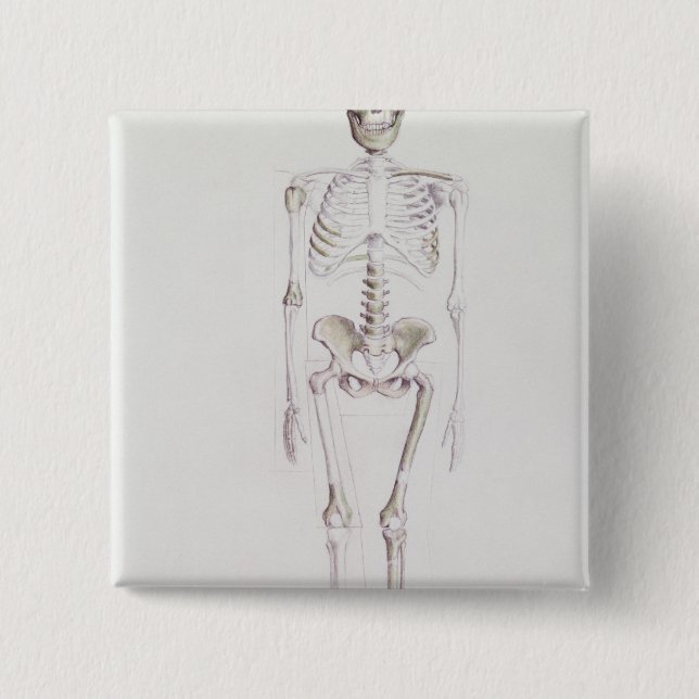 Badge Carré 5 Cm Squelette d'africanus d'australopithèque (Devant)