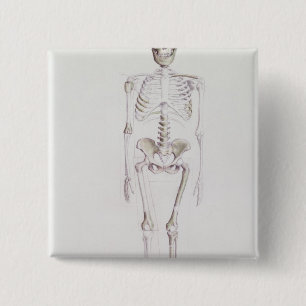 Badge Carré 5 Cm Squelette d'africanus d'australopithèque