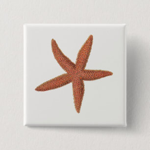 Badge Carré 5 Cm Starfish - Sherman Denton Fish Lithograph