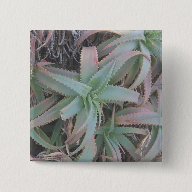Badge Carré 5 Cm Succulentes du Nevada (Devant)