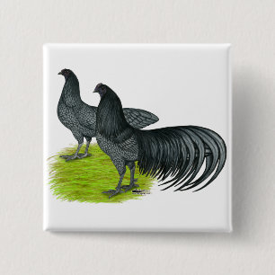 Badge Carré 5 Cm Sumatra : Paire bleue