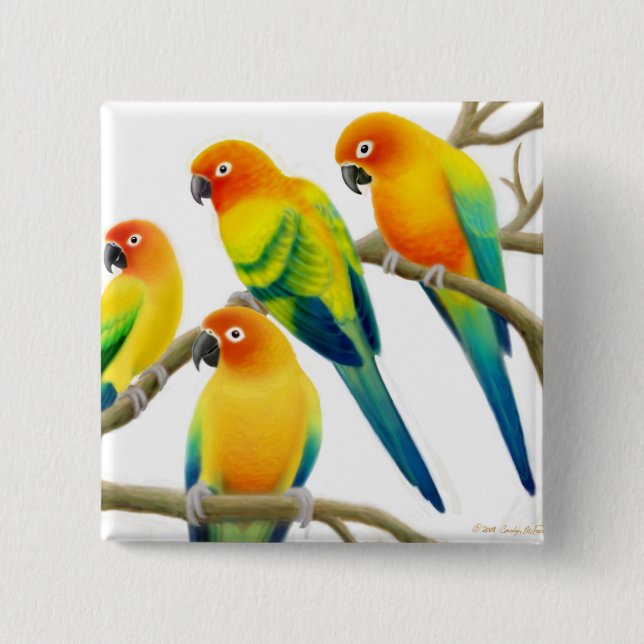 Badge Carré 5 Cm Sun Conure Parrots le Pin (Devant)