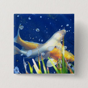 Badge Carré 5 Cm swimming koi button